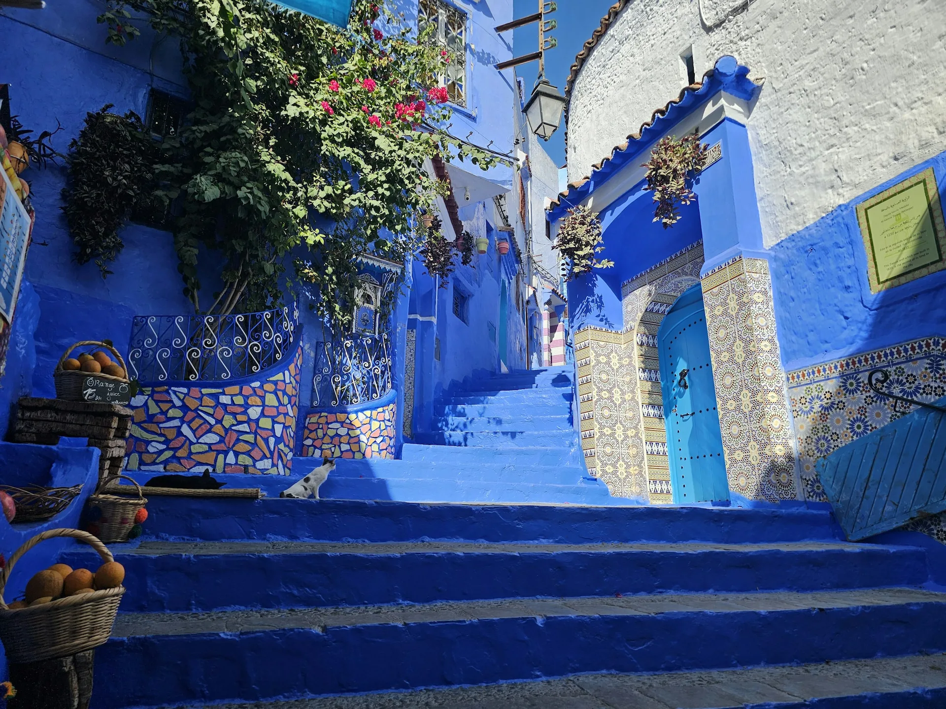 2 Days Tour from Fes to Chefchaouen
