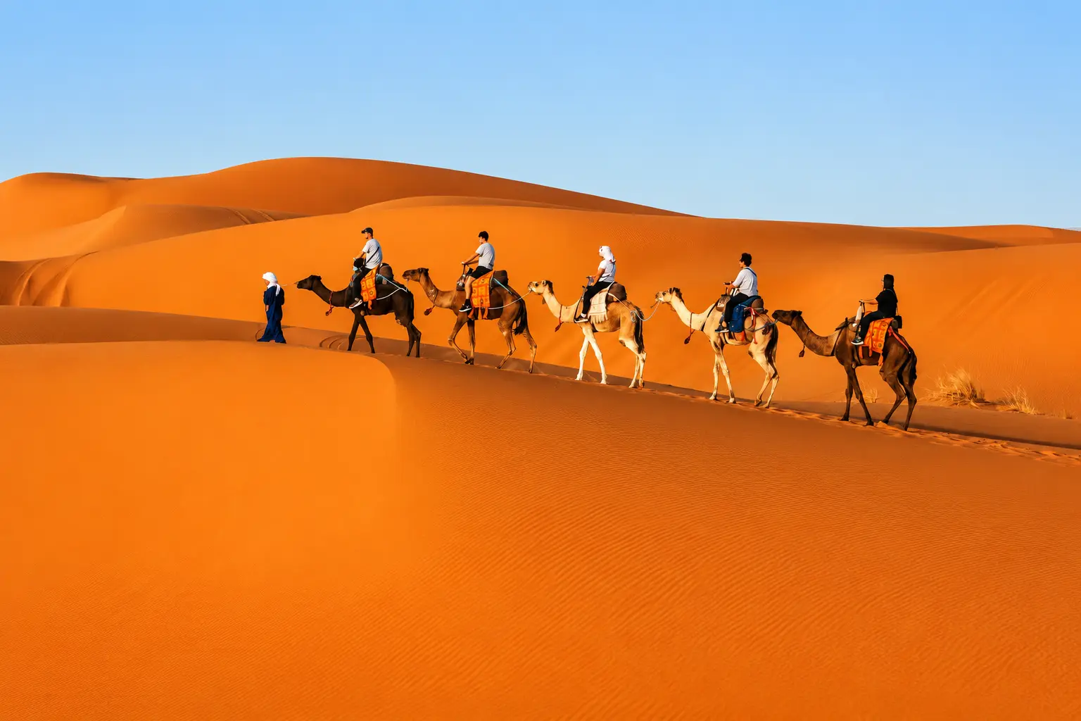 Camel caravan on a 2-day Marrakech to Zagora desert tour
