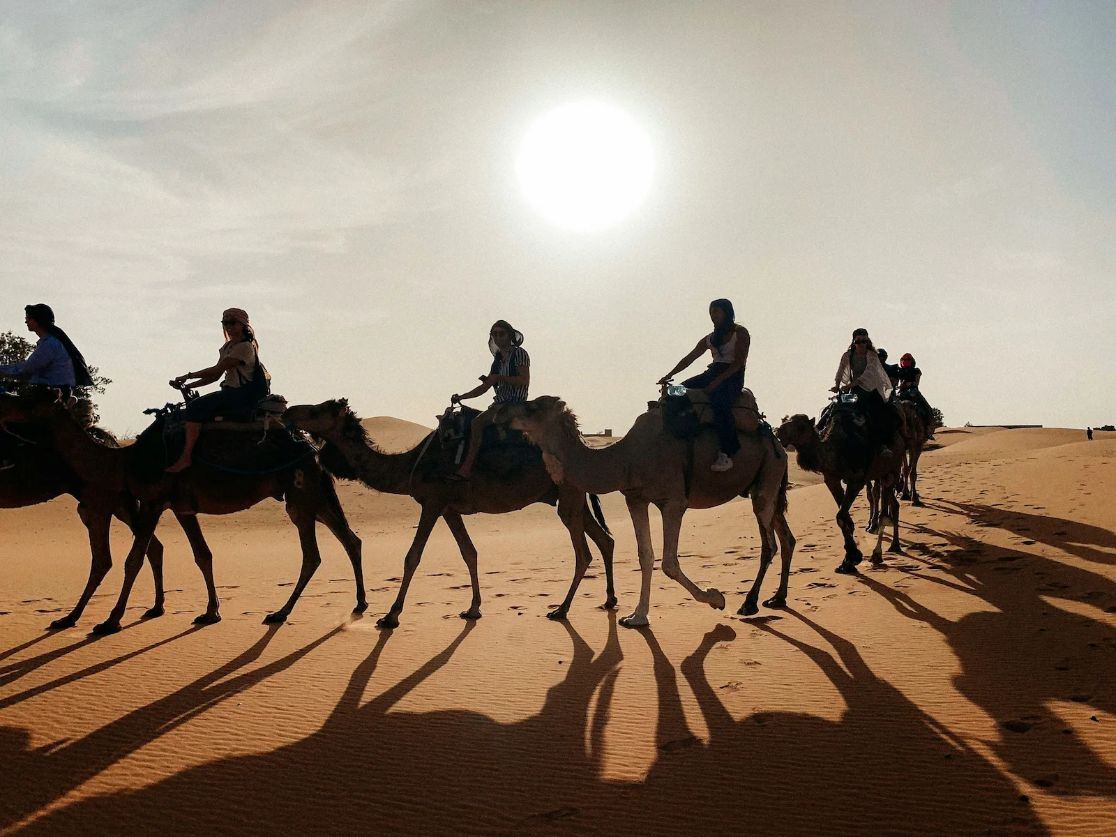 Camel ride in the Sahara on a 5 Days Tour from Casablanca